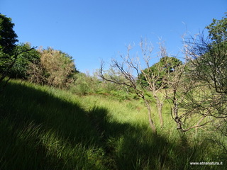 nte Rinatu-15-09-2019 10-03-48